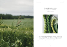 Dyeing Naturally - Emma Kylmälä